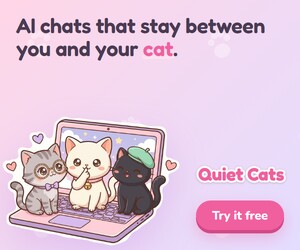 Quiet Cats 300x250 ad