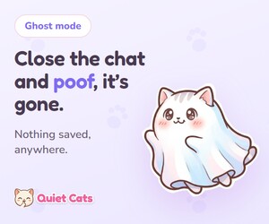 Quiet Cats 300x250 ad
