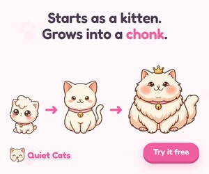 Quiet Cats 300x250 ad