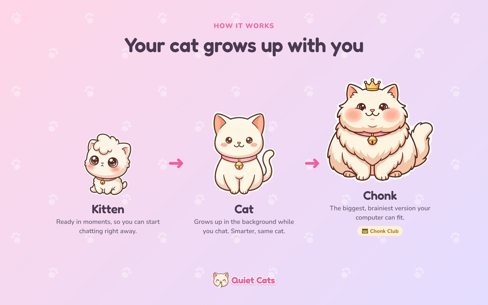 Quiet Cats logo