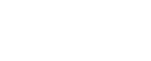 Biz Brand AI